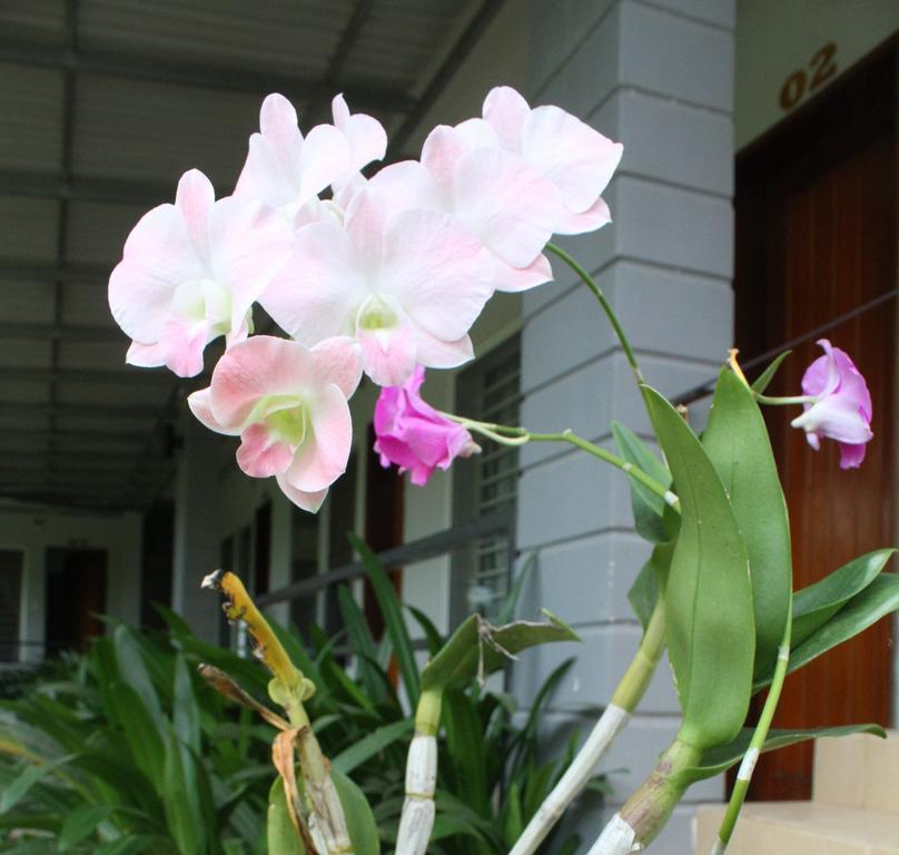 My Parents Guesthouse Kampot Buitenkant foto