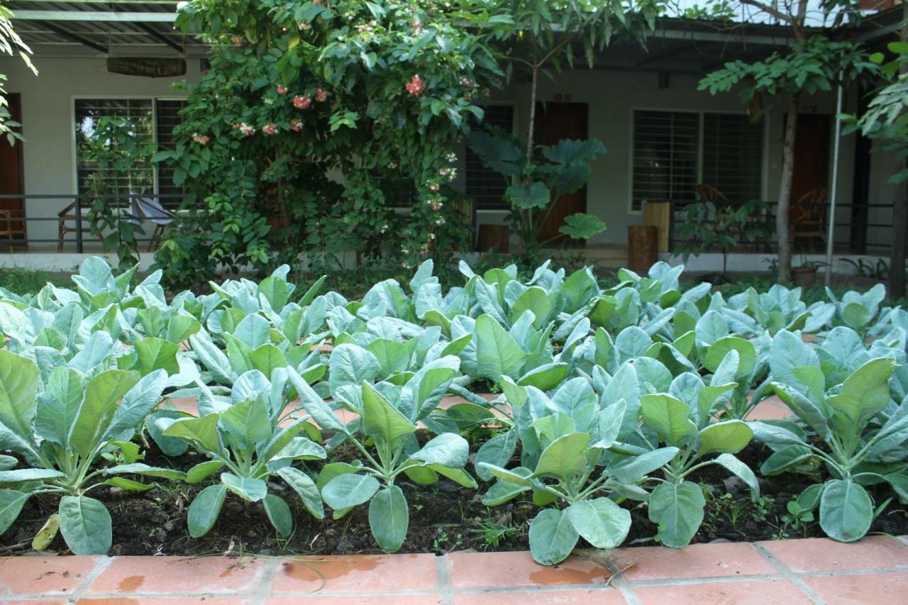 My Parents Guesthouse Kampot Buitenkant foto