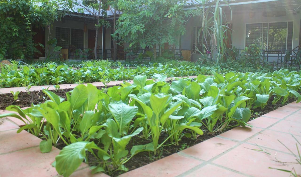 My Parents Guesthouse Kampot Buitenkant foto
